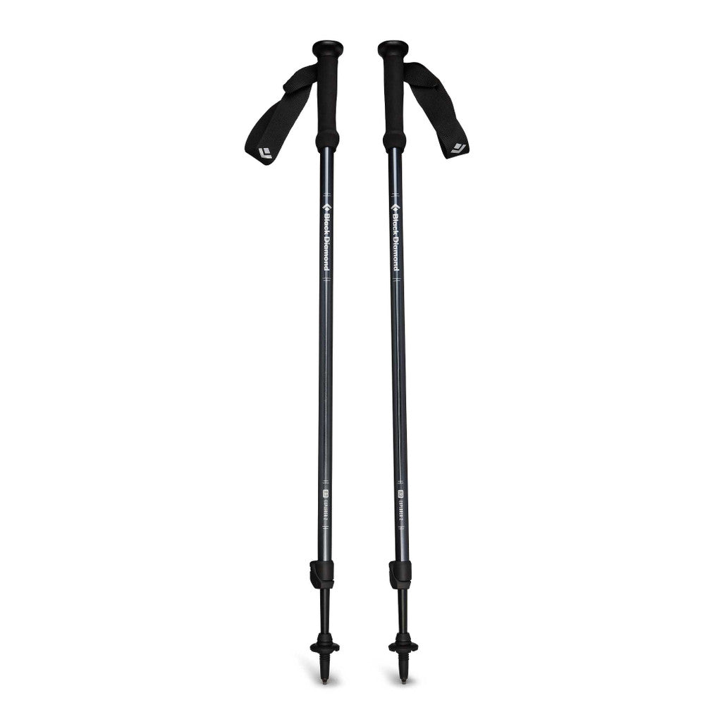 BASTONES DE TREKKING EXPLORER 2 BLACK DIAMOND