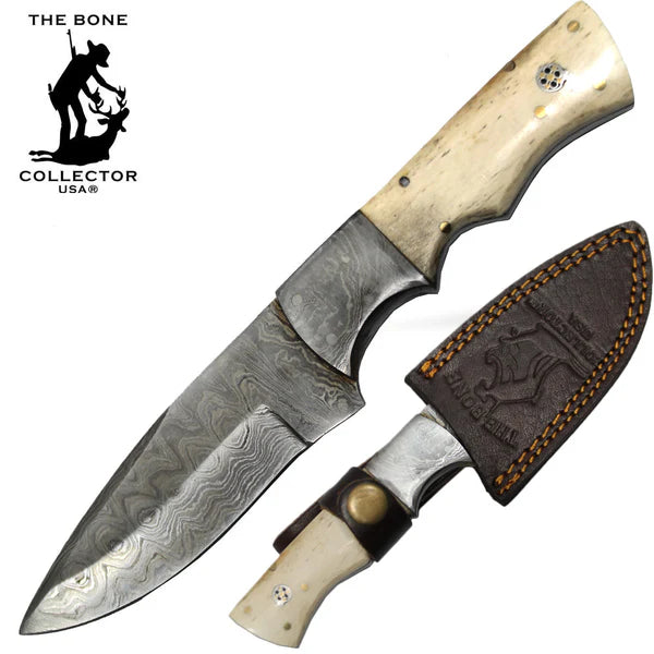 CUCHILLO BONE COLLECTOR 8" DAMASCUS BLADE BOVINE HORN HANDLE