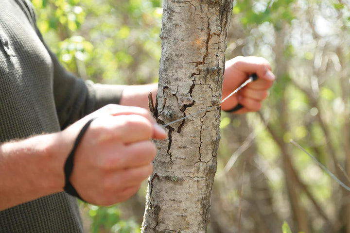 SIERRA DE BOLSILLO COGHLAN'S