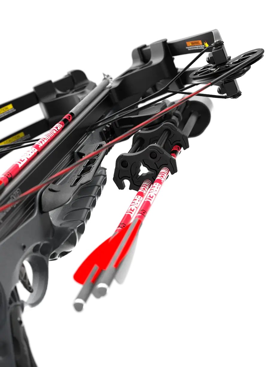 Ballesta Barnett RECRUIT XP 150 libras