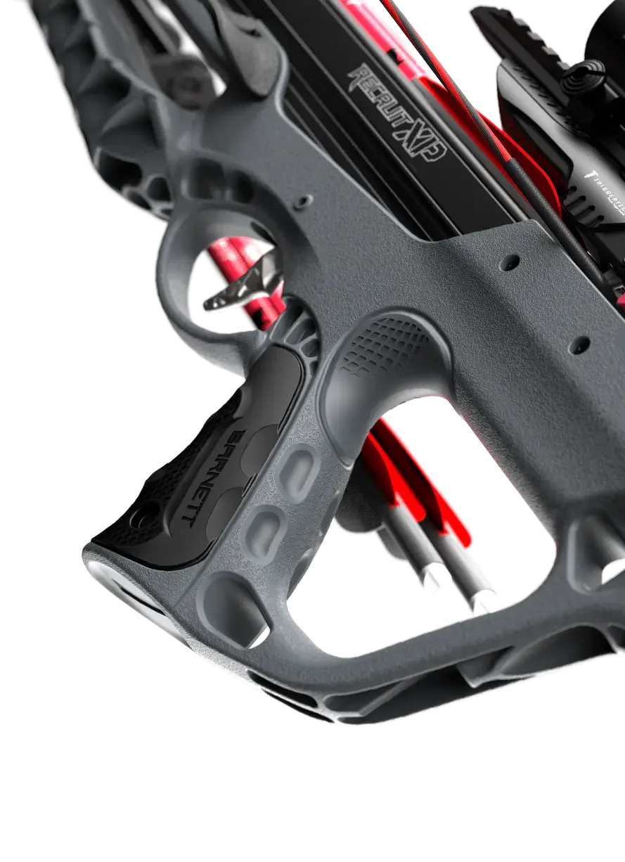 Ballesta Barnett RECRUIT XP 150 libras