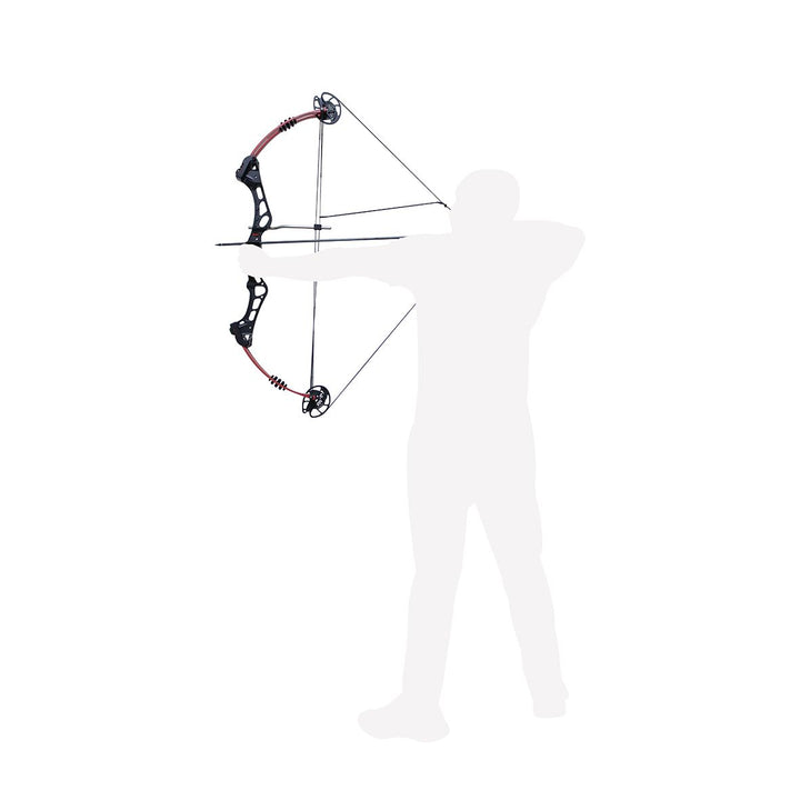 Arco Compuesto Profesional 30-45 lbs