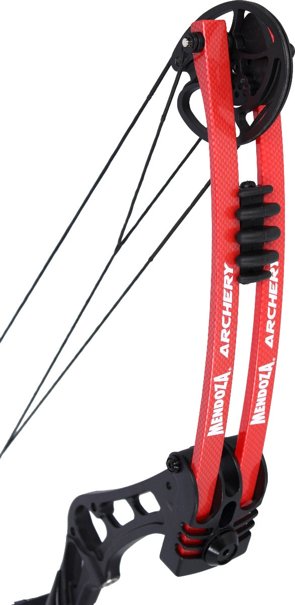 Arco Compuesto Profesional 30-45 lbs