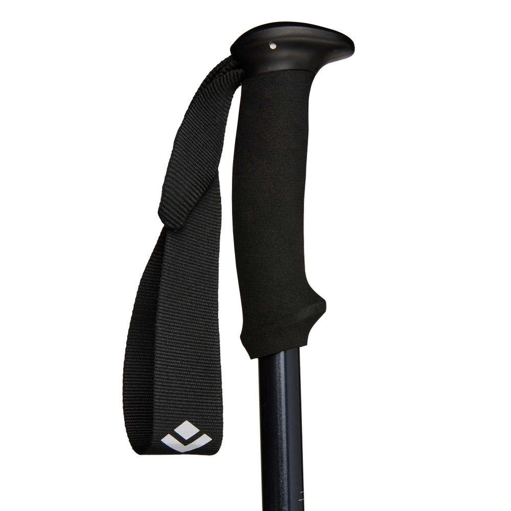 BASTONES DE TREKKING EXPLORER 2 BLACK DIAMOND