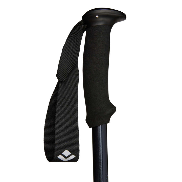 BASTONES DE TREKKING EXPLORER 2 BLACK DIAMOND