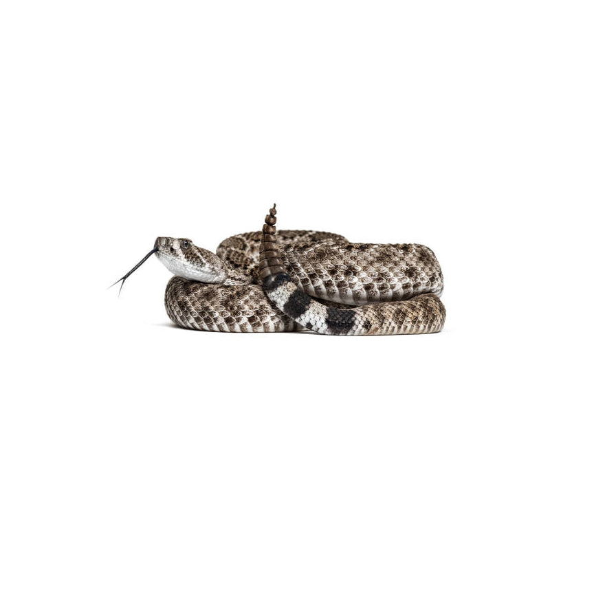 POLAINA SURICATA V5.0 A PRUEBA DE MORDEDURA DE SERPIENTE