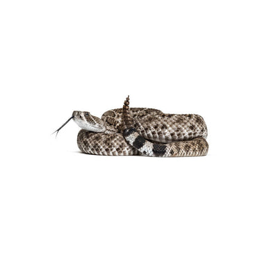 POLAINA SURICATA V5.0 A PRUEBA DE MORDEDURA DE SERPIENTE
