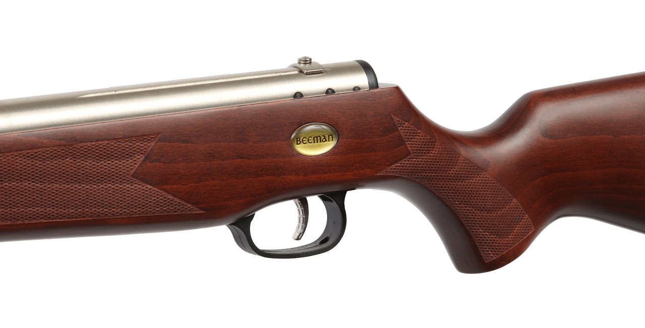 RIFLE SILVER KODIA Beeman Dual Caliber Gas Ram